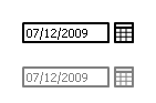 Date Field Widget