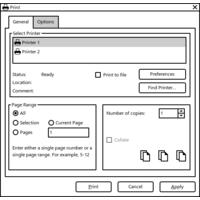 Print Dialog for Windows